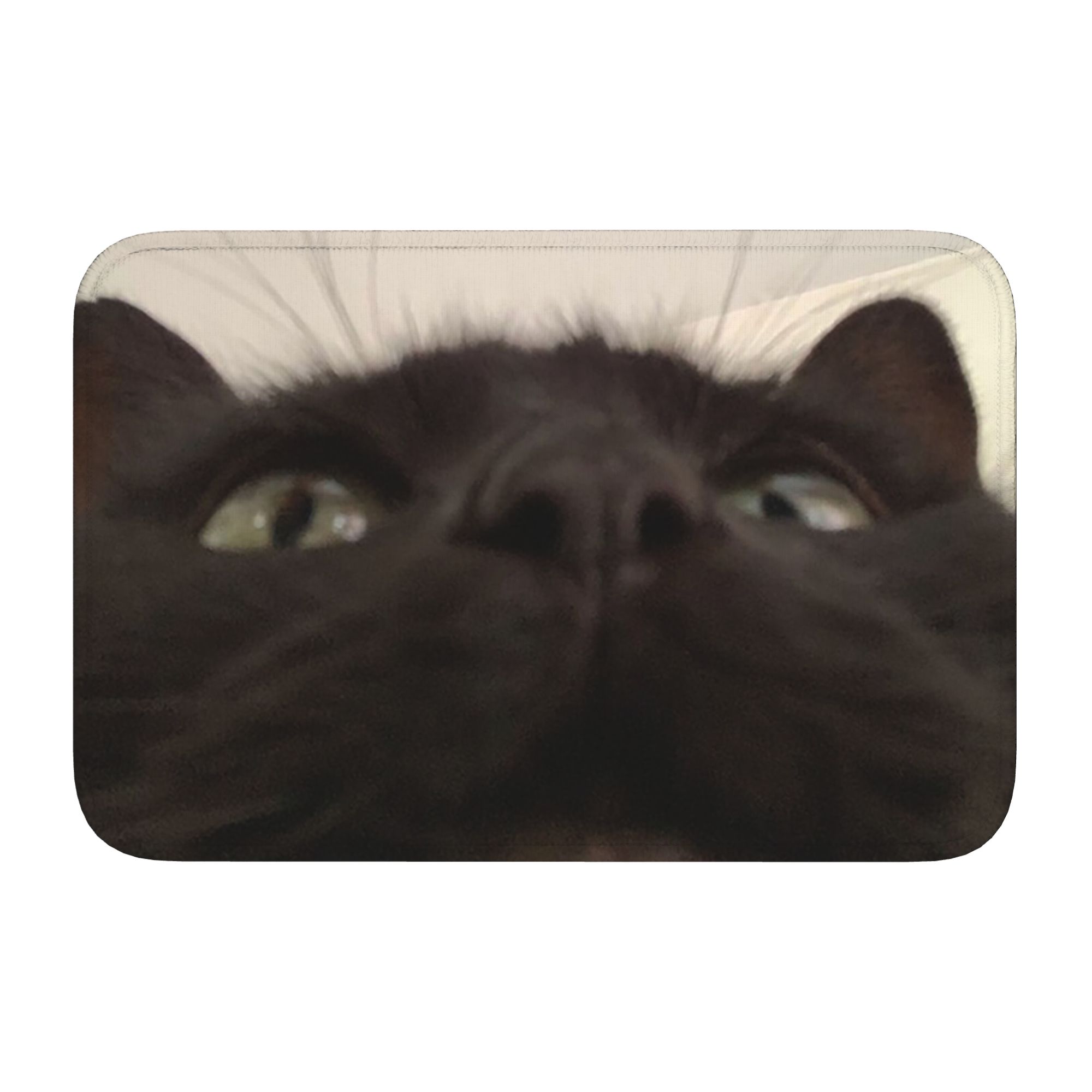 Cat Looking Directly At You at – Home Textiles Direct recenzja i cena