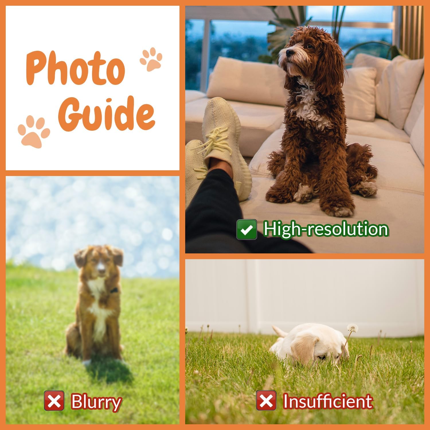 Customised Photo Pet Home Pill – Home Textiles Images recenzja i cena